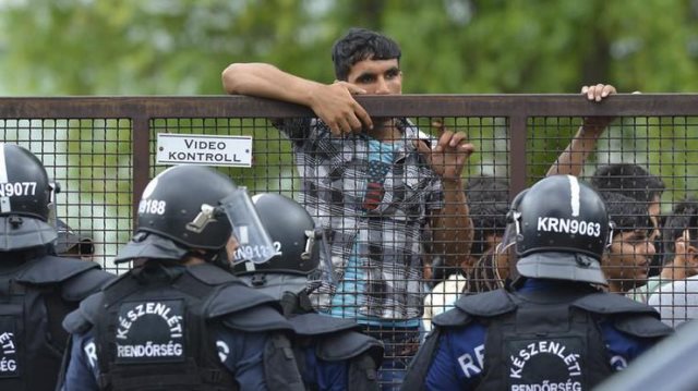 Массовая драка мигрантов в Венгрии, есть пострадавшие